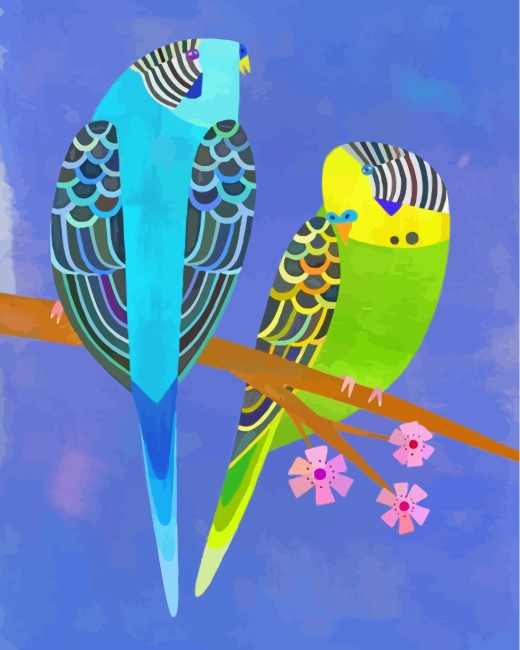 Budgies Birds Art paint by Numbers
