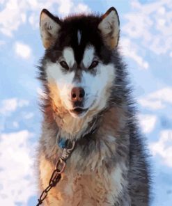 Canadian Eskimo In Snow paint by numbers