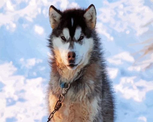 Canadian Eskimo In Snow paint by numbers