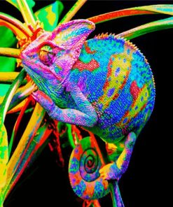 Colorful Chameleon paint by numbers