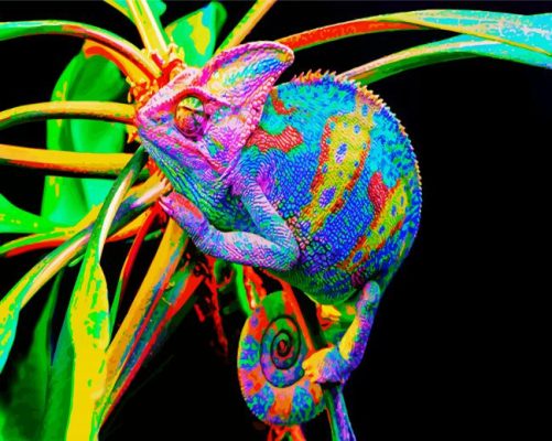 Colorful Chameleon paint by numbers