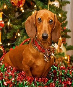 Christmas Dachshund Dog paint by numbers