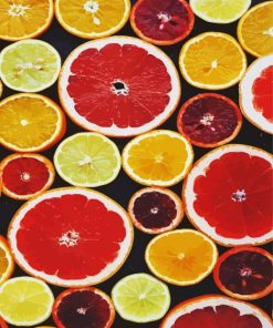 Aesthetics Citrus Fruits paint by numbers