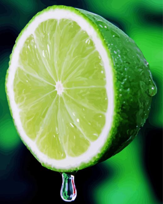 Citrus Lime Fruit paint by numbers