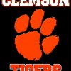 Clemson Tigers Logo Poster paint by numbers