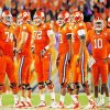 Clemson Tigers Football Team paint by numbers