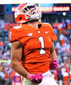 Clemson Tigers American Football paint by numbers