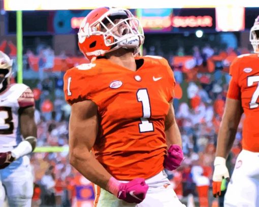 Clemson Tigers American Football paint by numbers