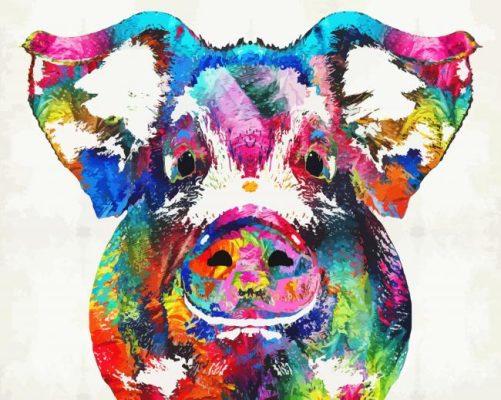 Colorful Pig Art paint by numbers