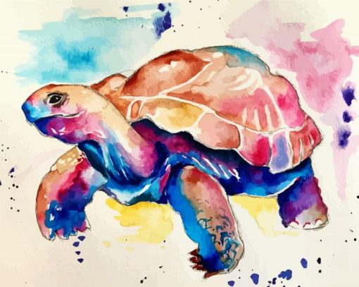 Colorful Tortoise paint by numbers