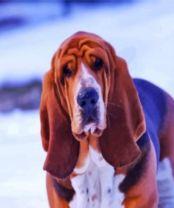 Bloodhound In Snow paint by numbers