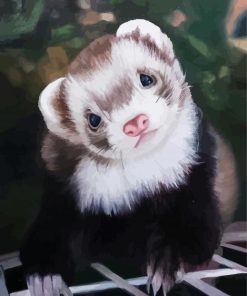 Cute Ferret Animal paint by numbers