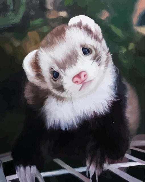 Cute Ferret Animal paint by numbers