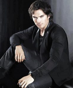 Damon Salvatore paint by numbers