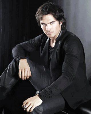 Damon Salvatore paint by numbers