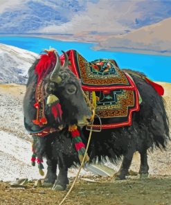 Domestic Yak Animal paint by numbers