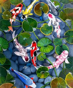 Cute Koi Fishes paint by numbers