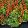 England Fall Foliage paint by numbers