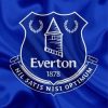 Everton Football Club Logo paint by numbers