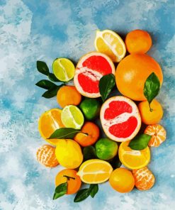 Fresh Citrus Fruits paint by numbers