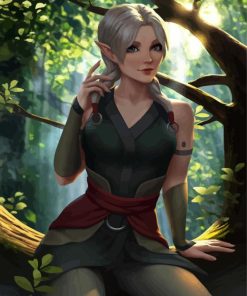 Fymryn Character paint by numbers