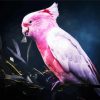 Aesthetic Galah Bird paint by numbers