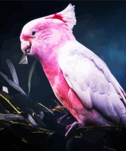 Aesthetic Galah Bird paint by numbers