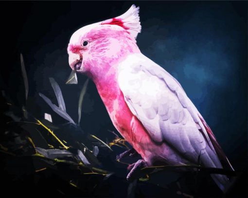 Aesthetic Galah Bird paint by numbers