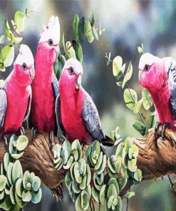 Galah Birds On Branch paint by numbers