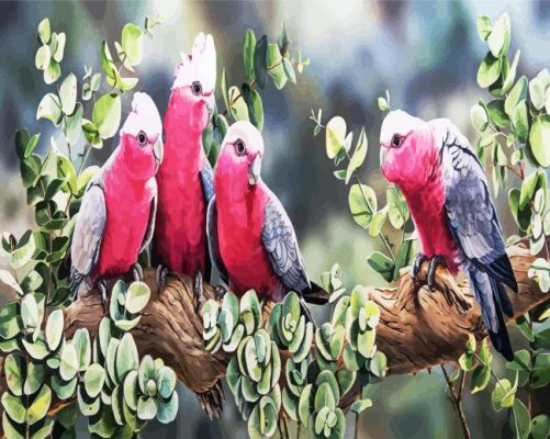 Galah Birds On Branch paint by numbers