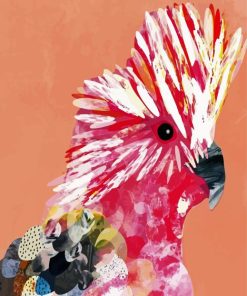 Galah Bird Pop Art paint by numùbers