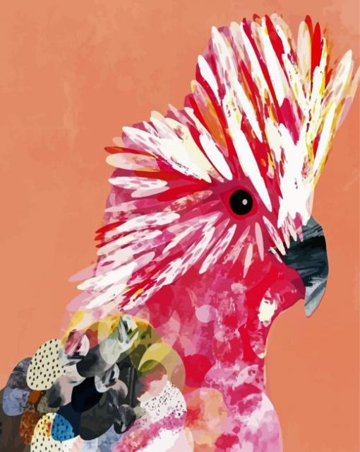 Galah Bird Pop Art paint by numùbers