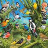 Garden Of Birds paint by numbers