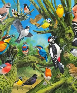 Garden Of Birds paint by numbers