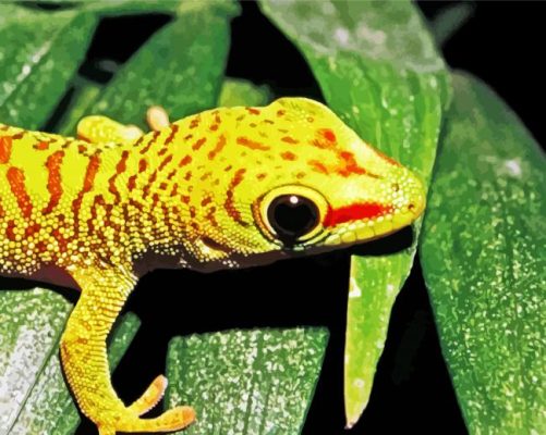 Yellow Gecko Reptile paint by numbers
