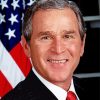 George Walker Bush paint by numbers