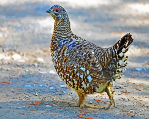 Aesthetic Ruffed Grouse paint by numbers