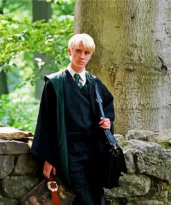 Aesthetic Draco Malfoy paint by numbers