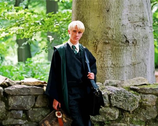 Aesthetic Draco Malfoy paint by numbers