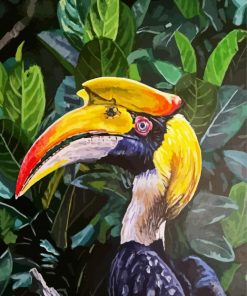 Hornbill Bird Art paint by numbers