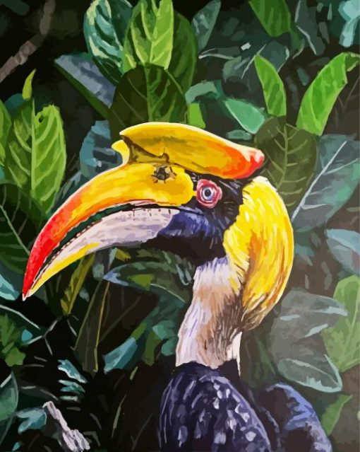 Hornbill Bird Art paint by numbers