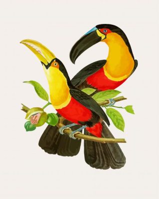 Hornbill Birds On Branch paint by numbers