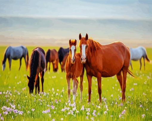 Horses In Meadow paint by numbers