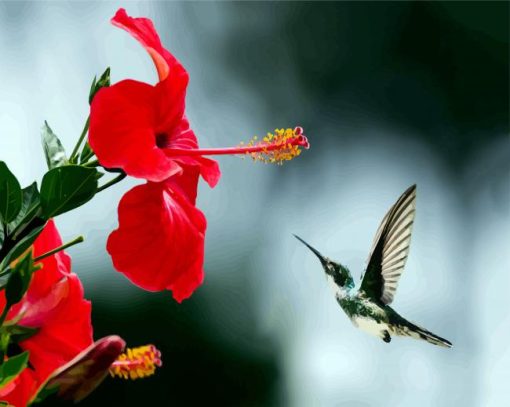 Hummingbird And Red Flowers paint by numbers