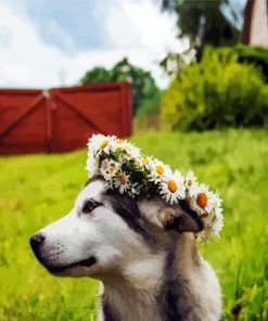 Husky With Flowers Crown paint by numbers