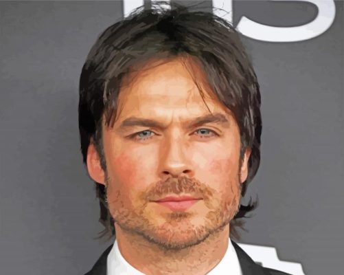 Damon Salvatore Character paint by numbers