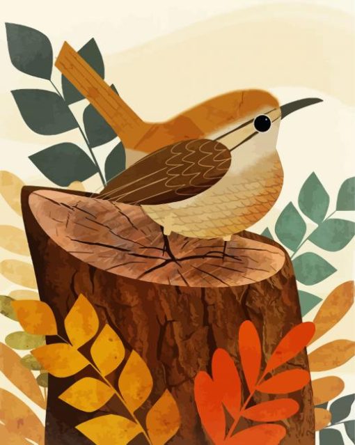 Illustration Wren Bird paint by numbers