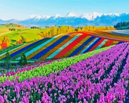 Landscape Hokkaido Island paint by numbers