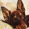 Kelpie Dog Animal paint by numbers