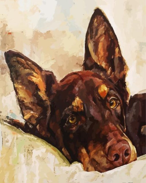 Kelpie Dog Animal paint by numbers